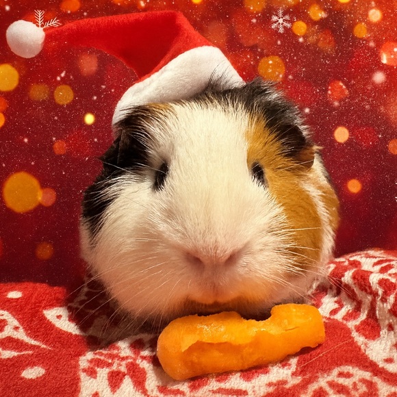 November 26th ☃️🫶 - Picture 1 of 16